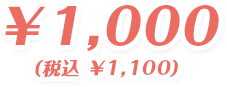 1,000円（税別）